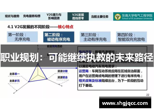 职业规划：可能继续执教的未来路径